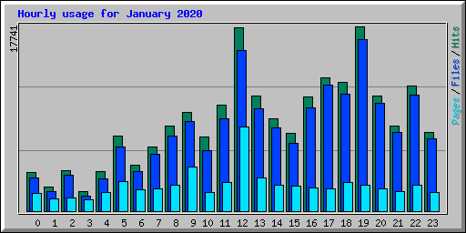 Hourly usage for January 2020