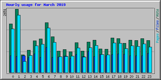 Hourly usage for March 2019
