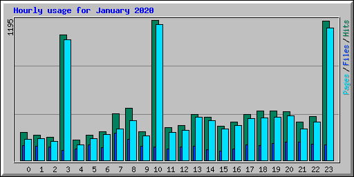 Hourly usage for January 2020